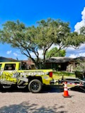 Tree Trimming for Johnnys Pro Cutters in Corpus Christi, TX