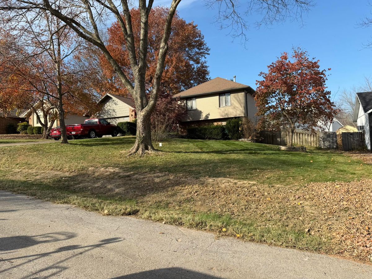 Tree Trimming for Mowraculous in Republic, MO