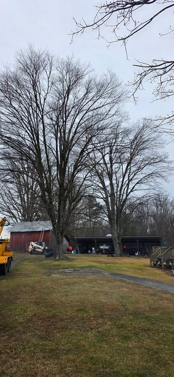 Emergency Tree Services for Hamlett Tree Service LLC in Clover, VA