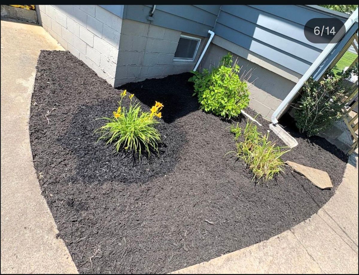 Spring & Fall Clean Up for Cam Yardz in Washington, PA