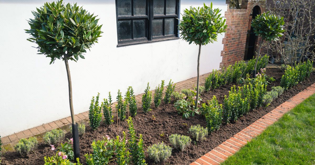 Flower Bed Installation for AW Irrigation & Landscape in Greer, SC