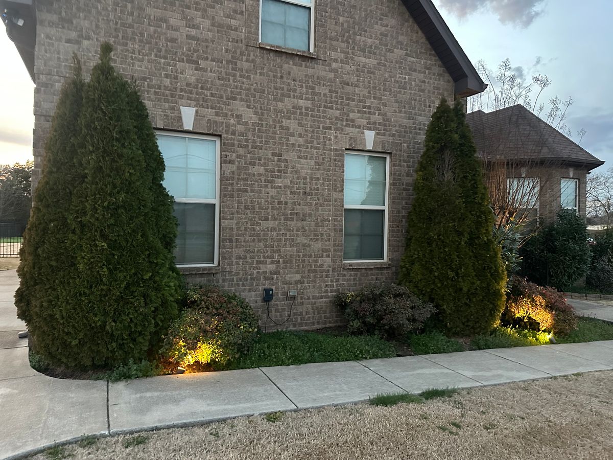 Tree Work for Top Notch Tennessee Outdoor Services in Murfreesboro, TN