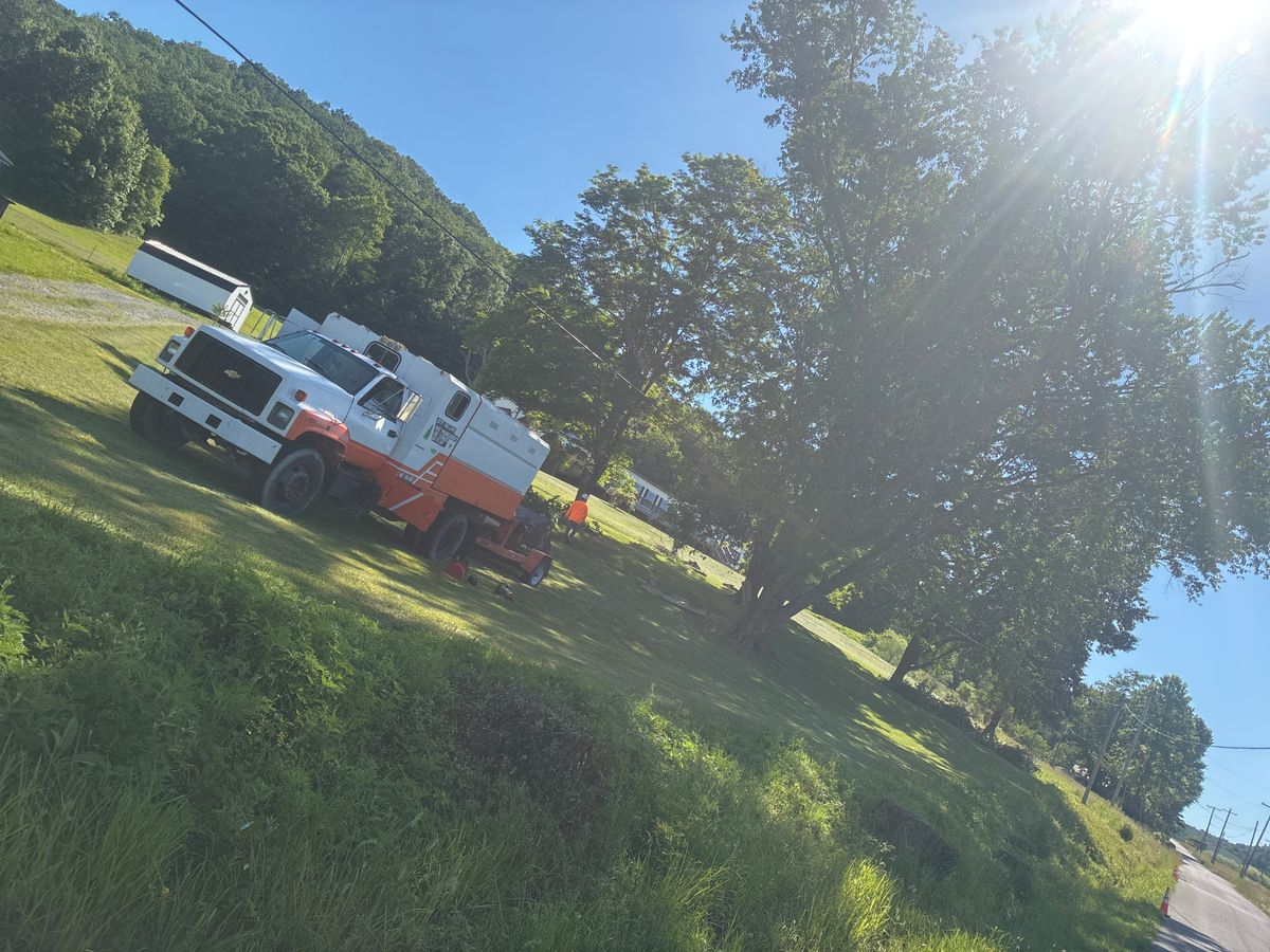 Tree Removal for Skys The Limit Tree Management in Morehead, KY