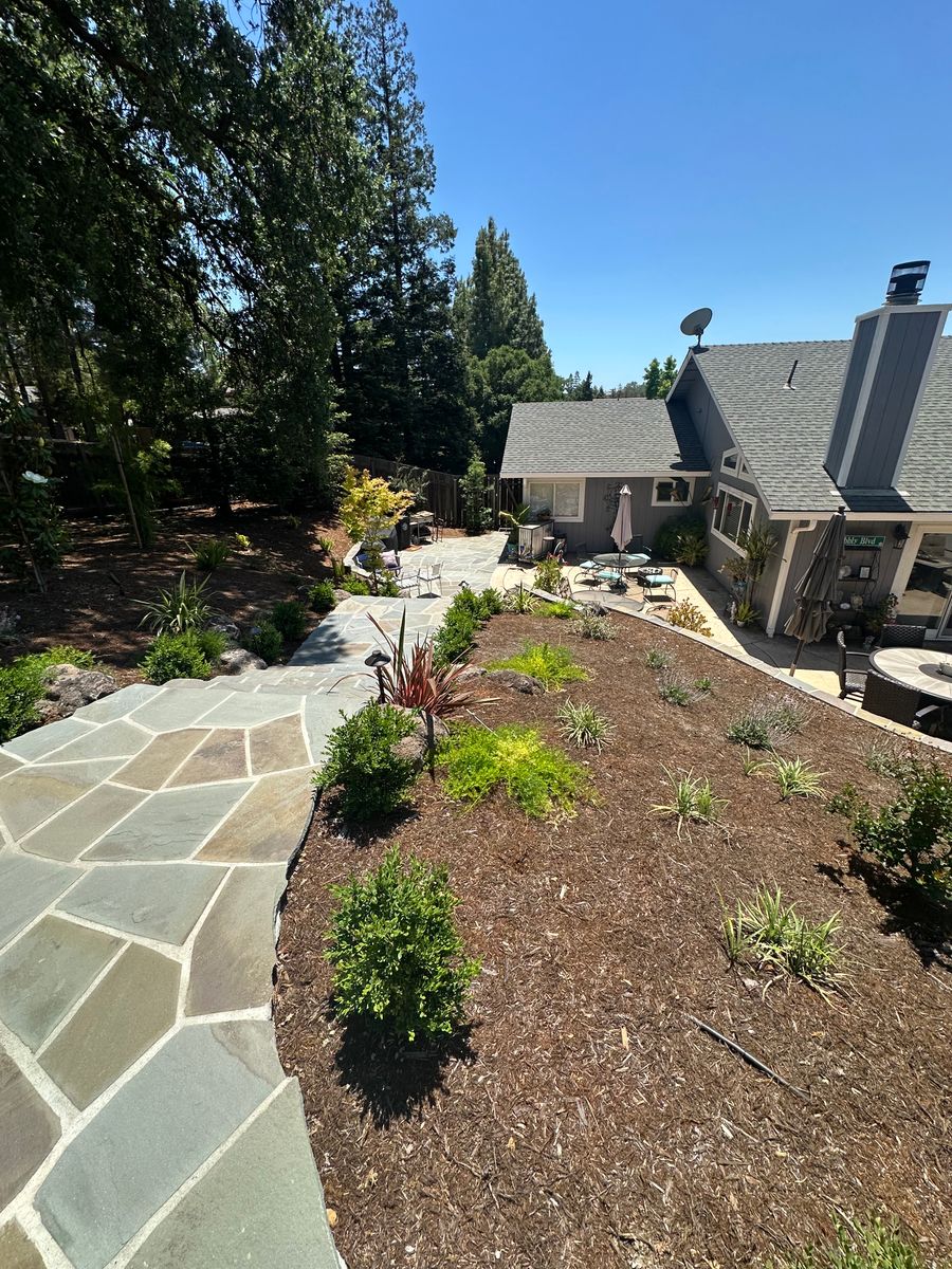 Backyard Transformation for LEBEC, Inc in Brentwood, CA