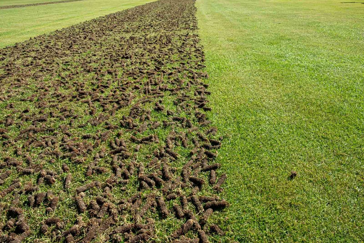 Lawn Aeration for Upstate Precision Landscaping in Moore, SC