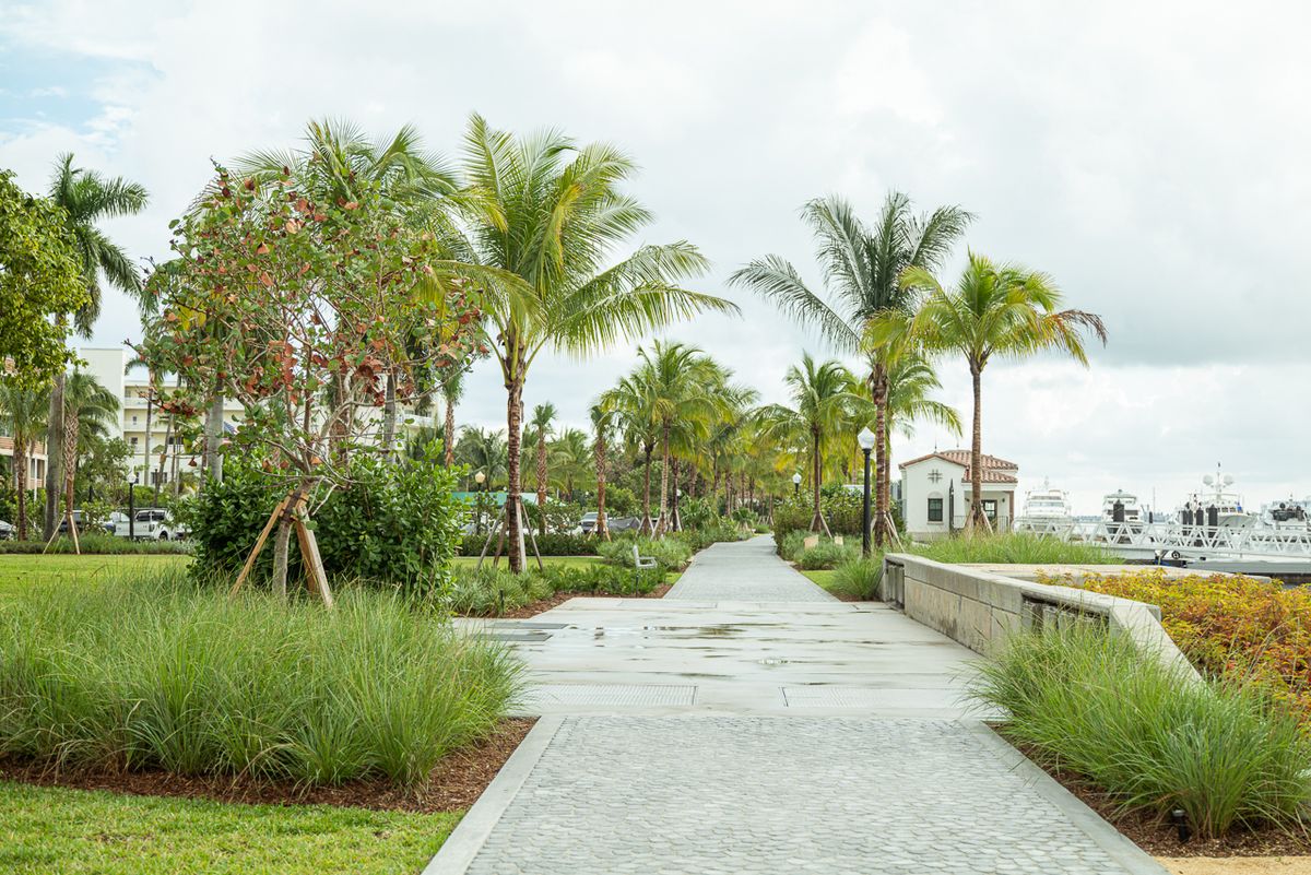 Landscaping for Arazoza Brothers Corporation in Miami, FL