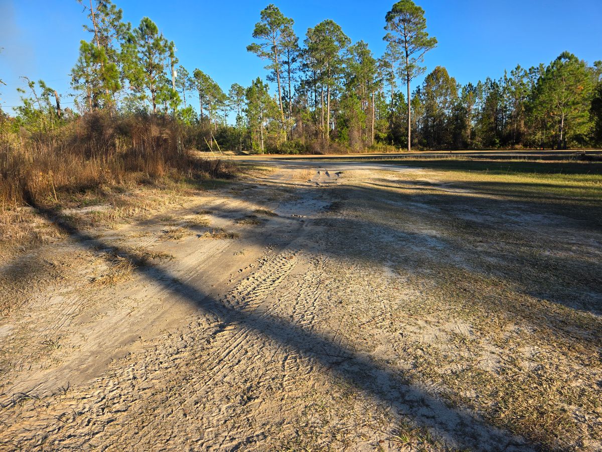 Demolition for Giles Land Management, LLC in Hahira, GA