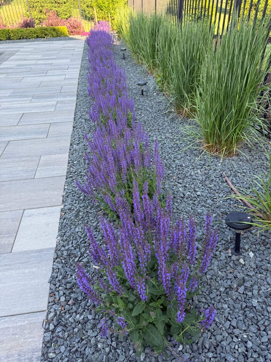 Landscape Installation for Denali Outdoor Services in Washington, MI