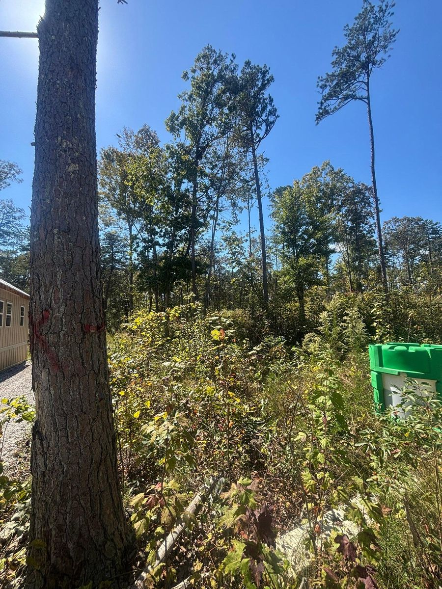 Forestry Mulching for TD Dirtworks in Tracy City, TN