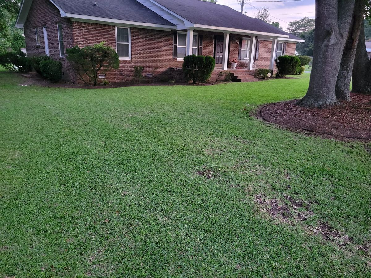 Mulch Installation for Just Mow and Go Lawn Service in New Bern, NC