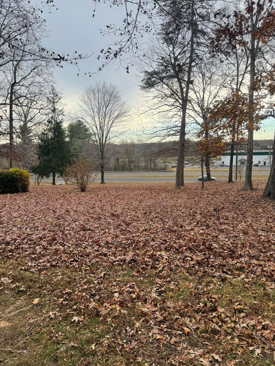 Property Maintenance for Chiles Lawn & Landscaping in Gordonsville, VA