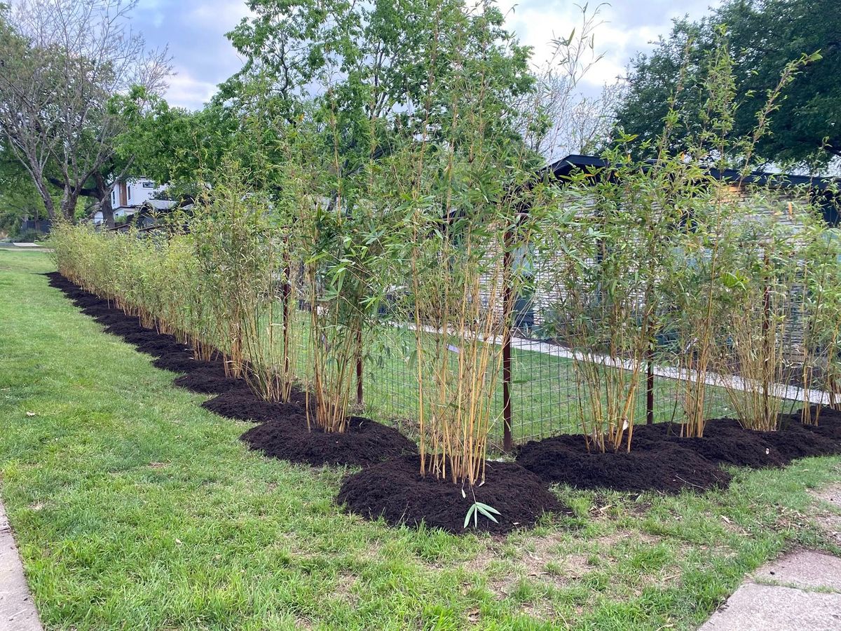 Fencing for Robert’s Lawn & Tree Service in Austin, TX
