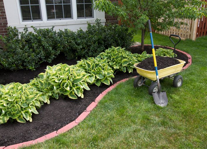 Mulch Installation for Green Giant Landscaping in Guilford, CT