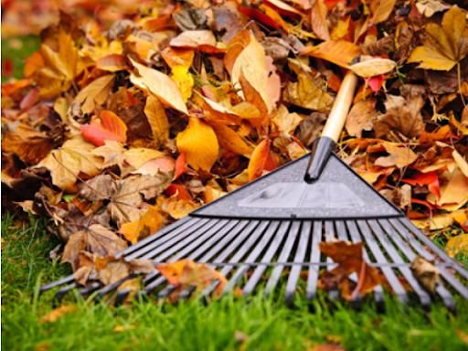 Lawn Maintenance for Green City Landscape and Lawn Care LLC in Mesquite, TX