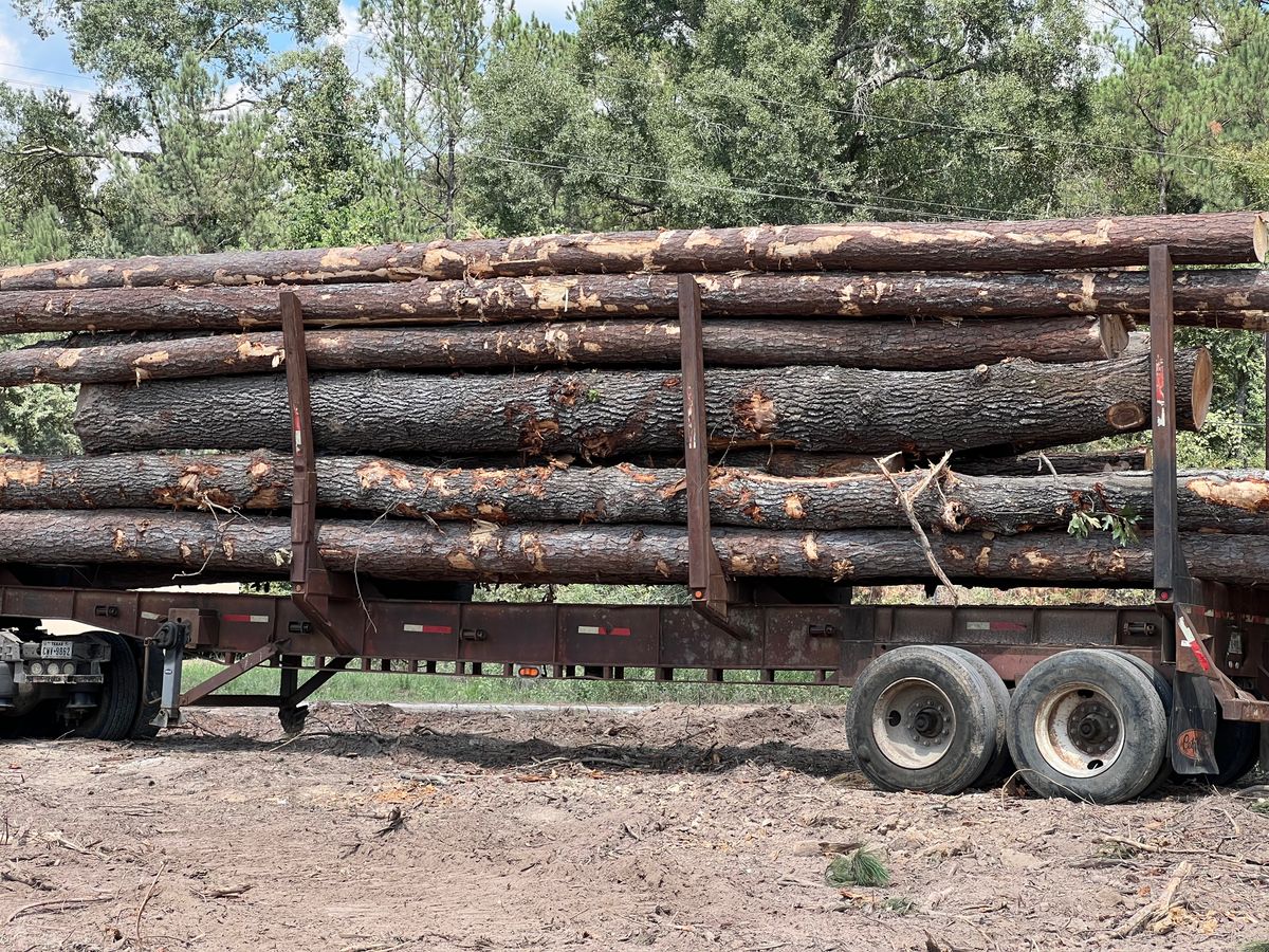 Land Clearing for Arnold Construction in Magnolia, TX