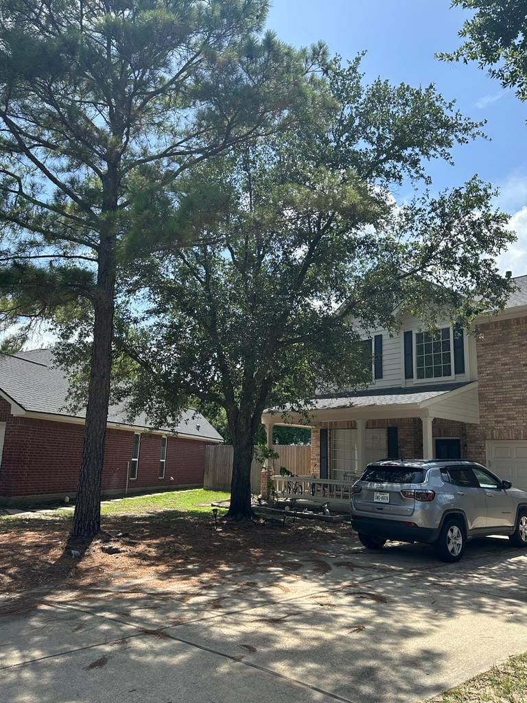 Shrub Trimming for Right Choice Landscaping LLC in Houston, TX