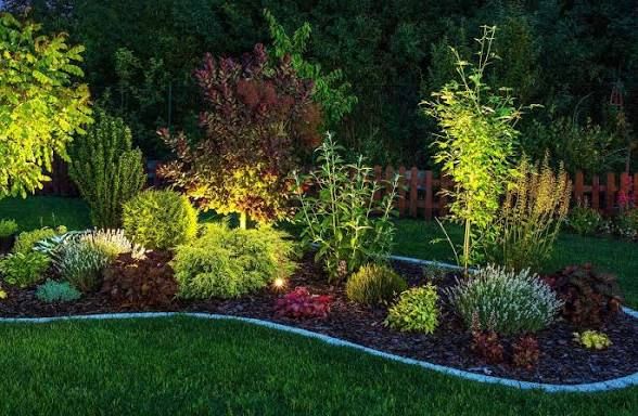 Landscape Lighting for Elite Lighting Solution in Midlothian, VA