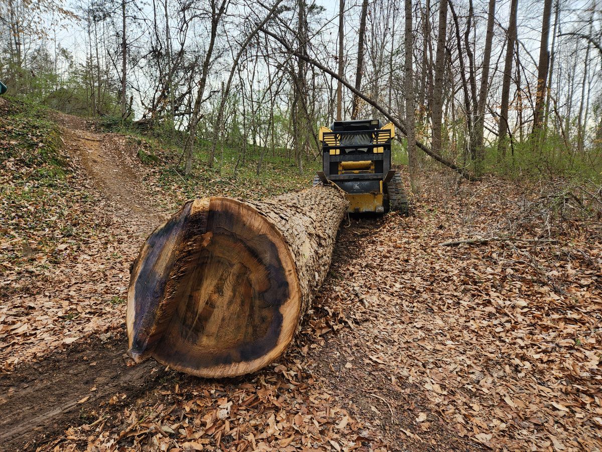 Custom Sawmilling for Smith Tree Experts in Palmyra, VA