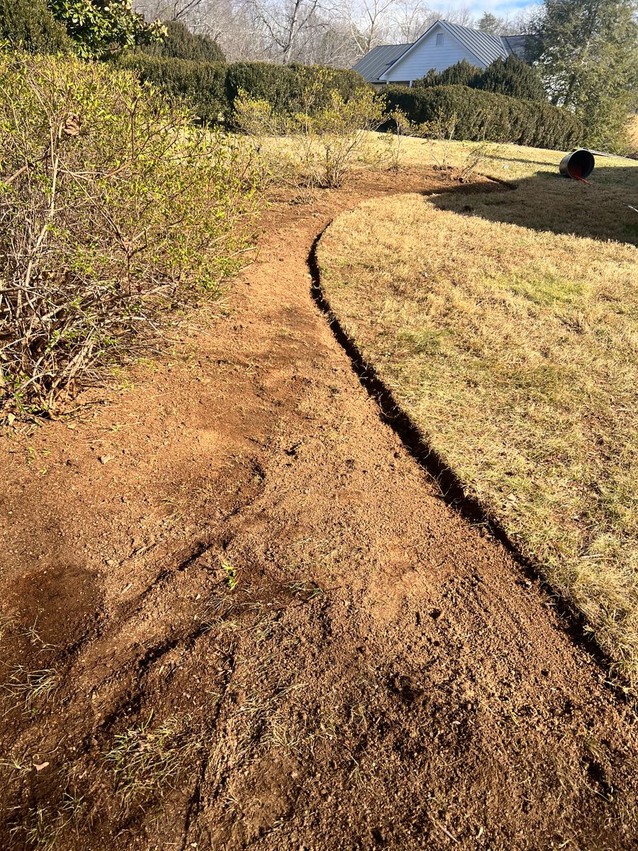 Shrub Trimming for Valencia’s Lawncare in Charlottesville, VA
