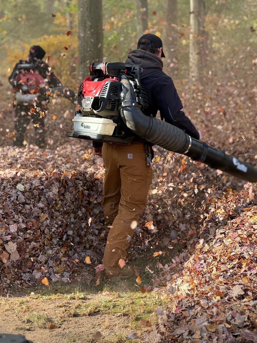 Fall Clean ups & Curbside Leaf Removal for Ace Landscaping in Trumbull, CT