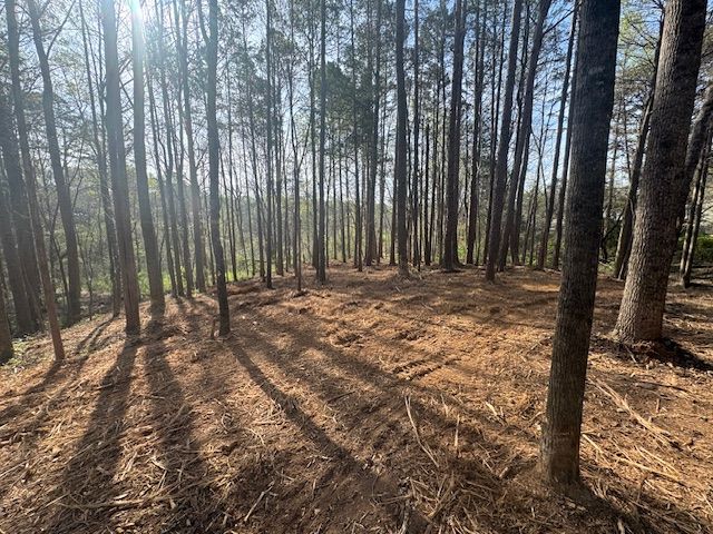 Land Clearing for Sykes Land Services in Asheboro, NC