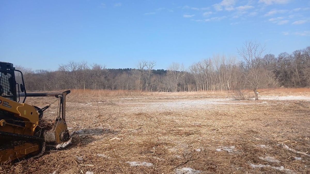 Land Clearing for Willing Trucking & Excavating in Evansville, WI