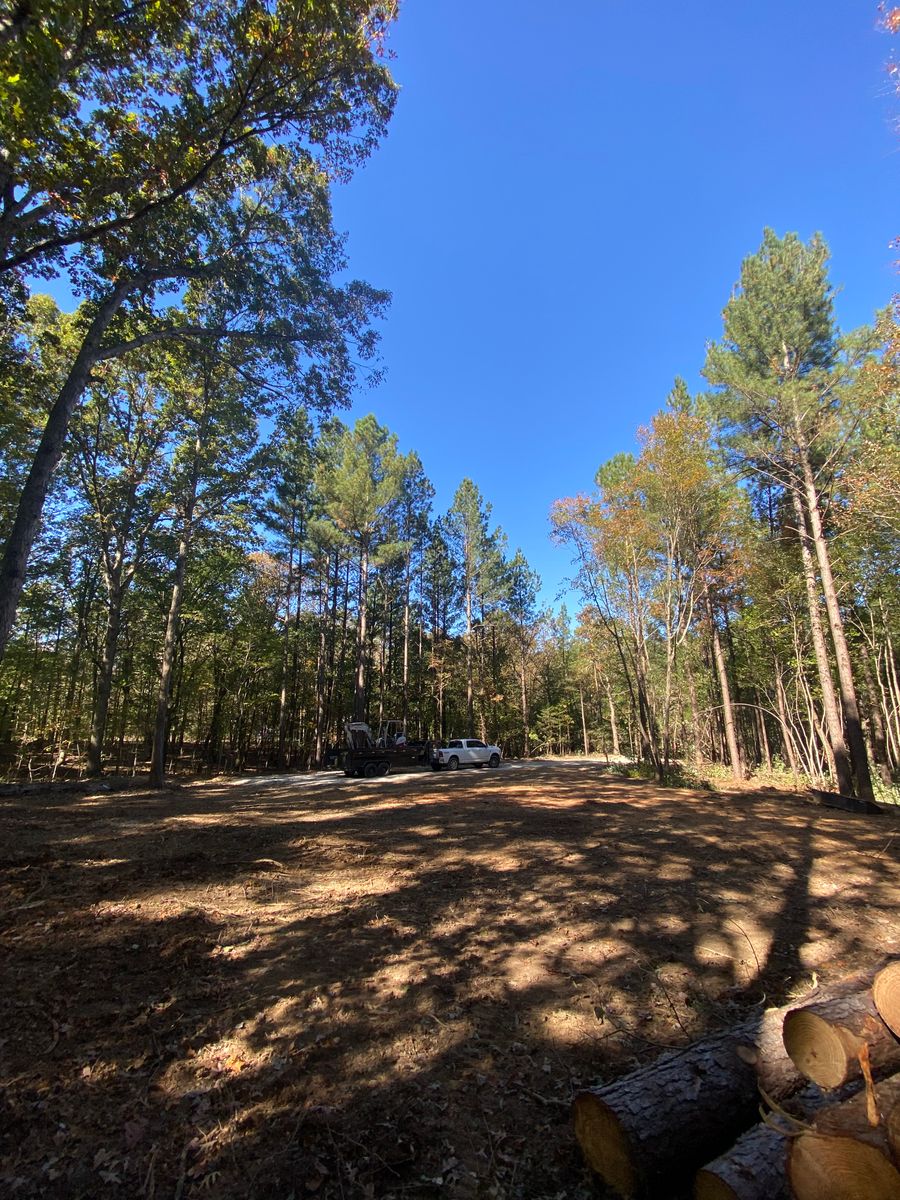 Tree Trimming & Removal for Upchurch Property Management in Carthage, NC