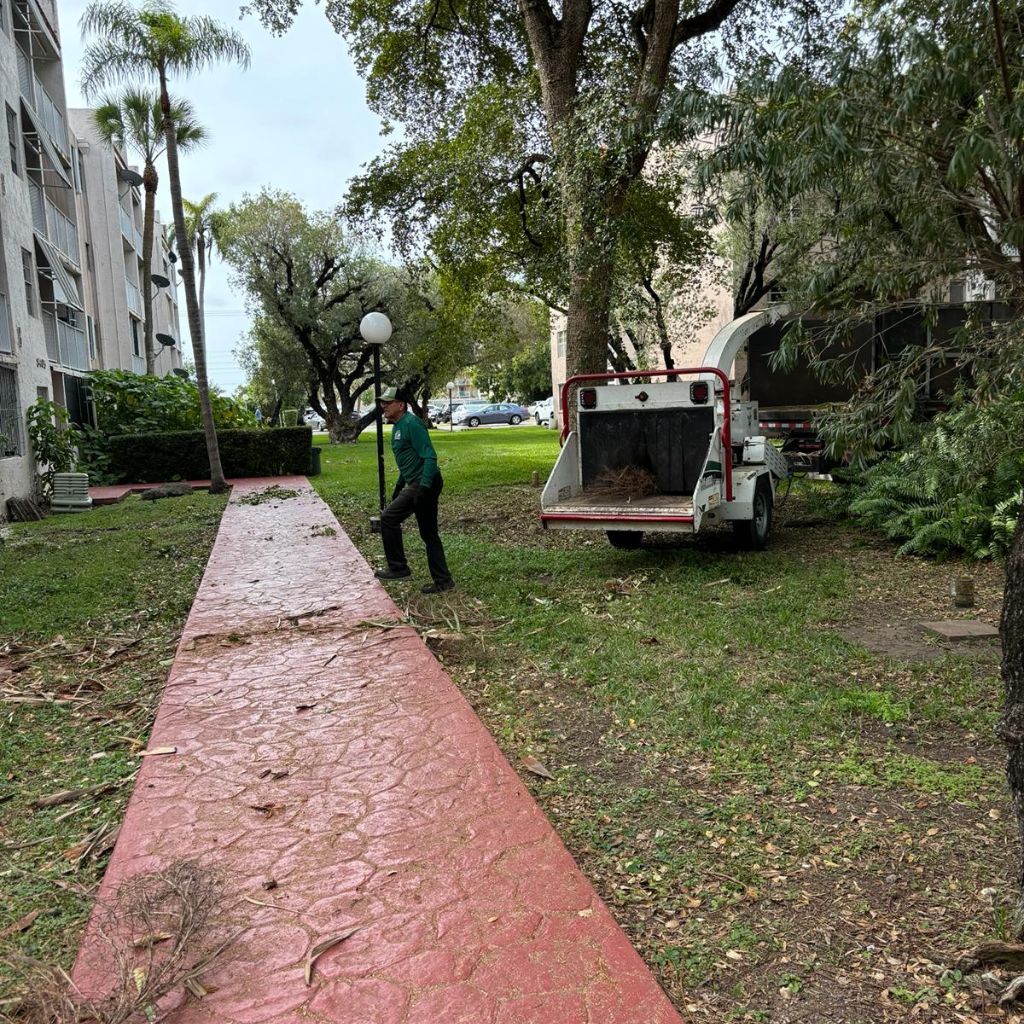 Disaster for Nurry Tree Services in Miami, FL