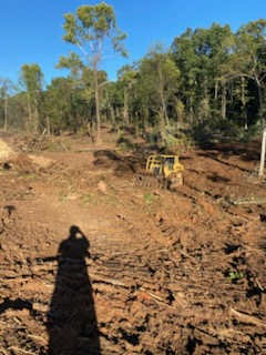 Tree Trimming & Removal for Legacy Land Clearing in Knoxville, TN