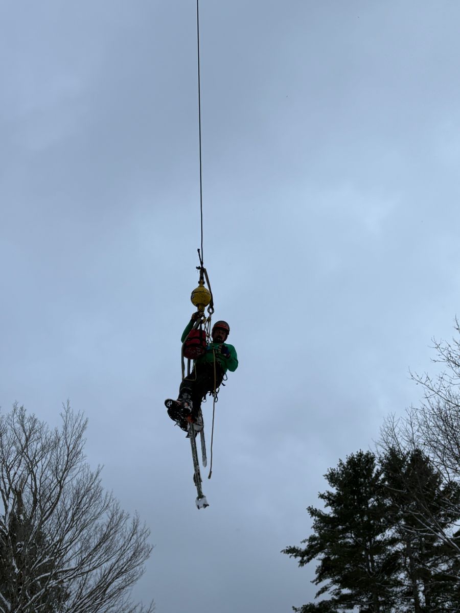 Forestry Mulching  for Clifford’s Quality Tree Care & Landscaping in Enfield, NH