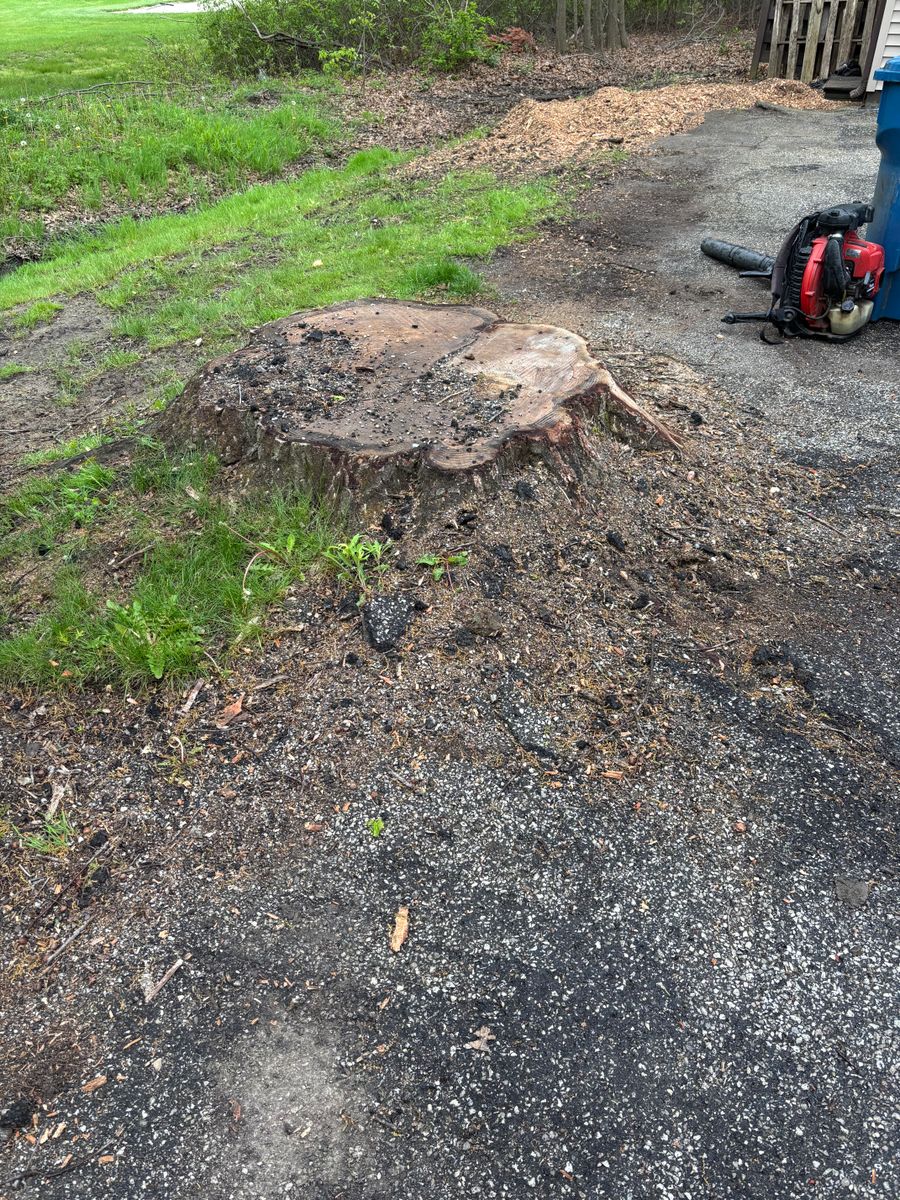 Stump Removal for Dean's Stump Removal in Youngstown, OH