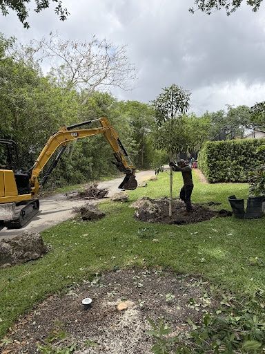 Excavation for Nurry Tree Services in Miami, FL