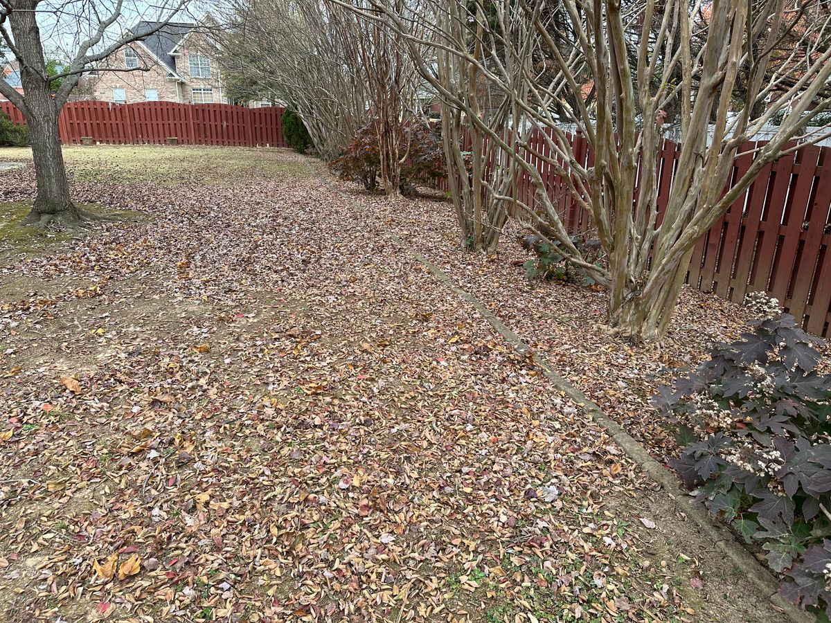 Leaf clean up for Vickers Lawns in Ardmore, Al