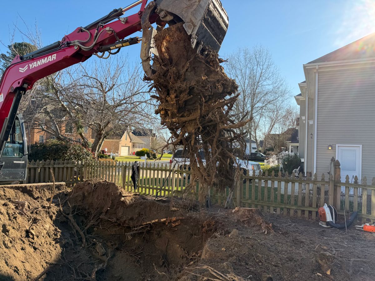 Tree Removal for Tidewater Tree Service in Chesapeake, VA