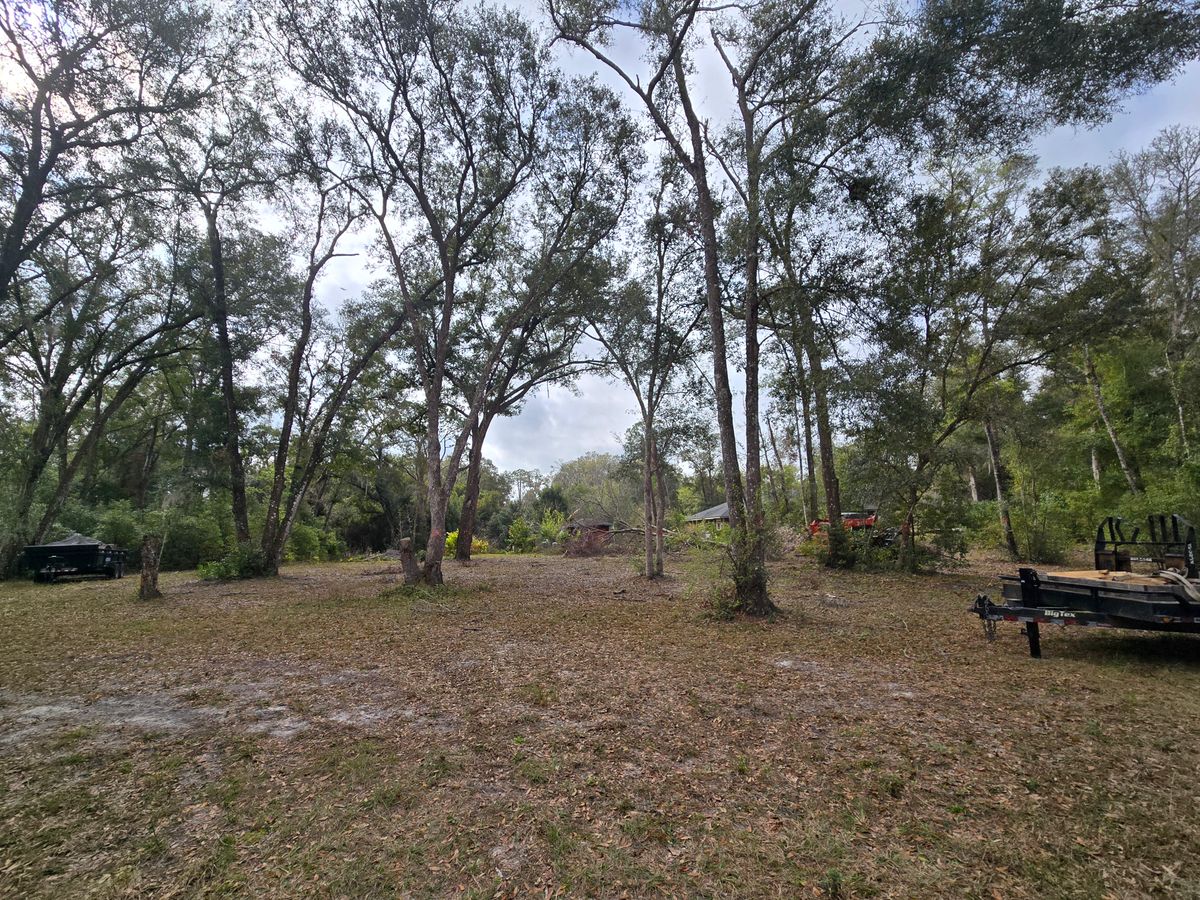 Land Clearing for Downer Site Services in Sanford, FL