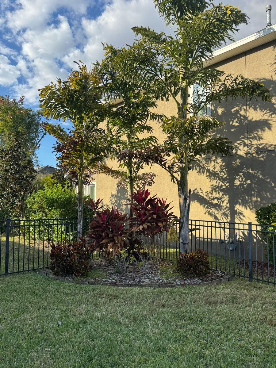 Landscaping for Shoreside Property Services in Apollo Beach, FL