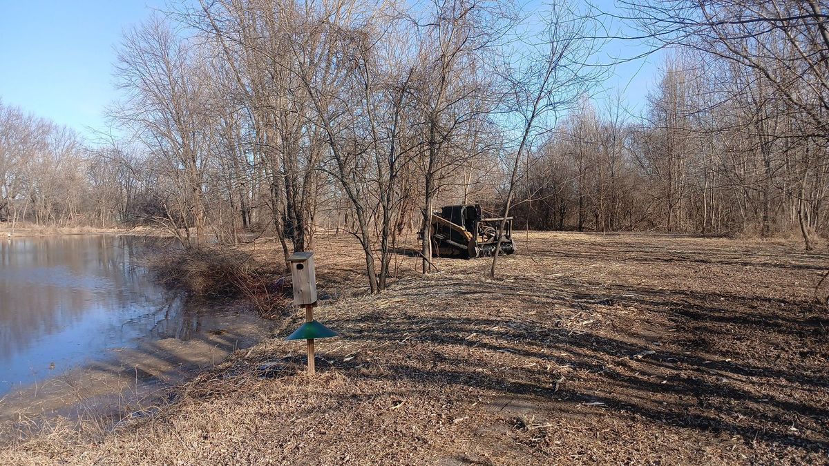 Forestry Mulching for Willing Trucking & Excavating in Evansville, WI