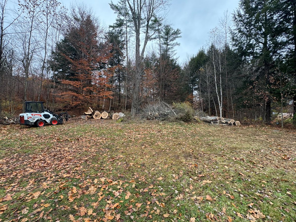 Tree Removal & Pruning for Clifford’s Quality Tree Care & Landscaping in Enfield, NH