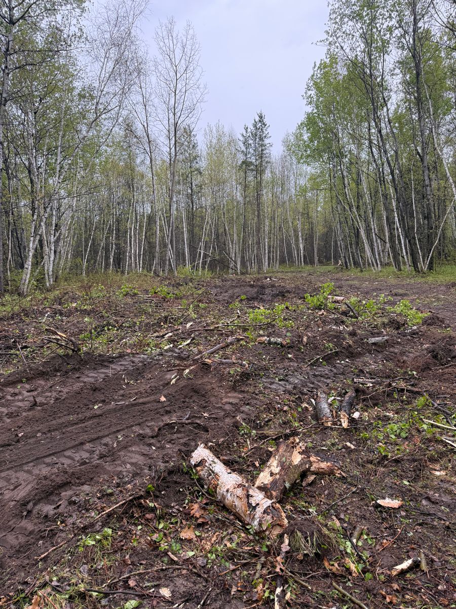 Forestry Mulching for Northern Summit Landworks in Little Falls, MN
