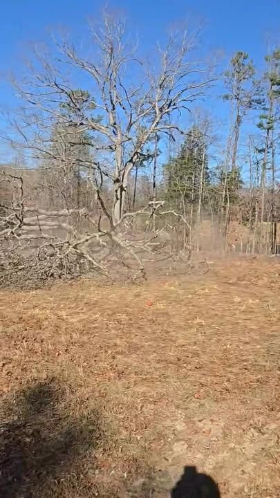 Tree Removal for Diversified Tree Company in Trinity, NC