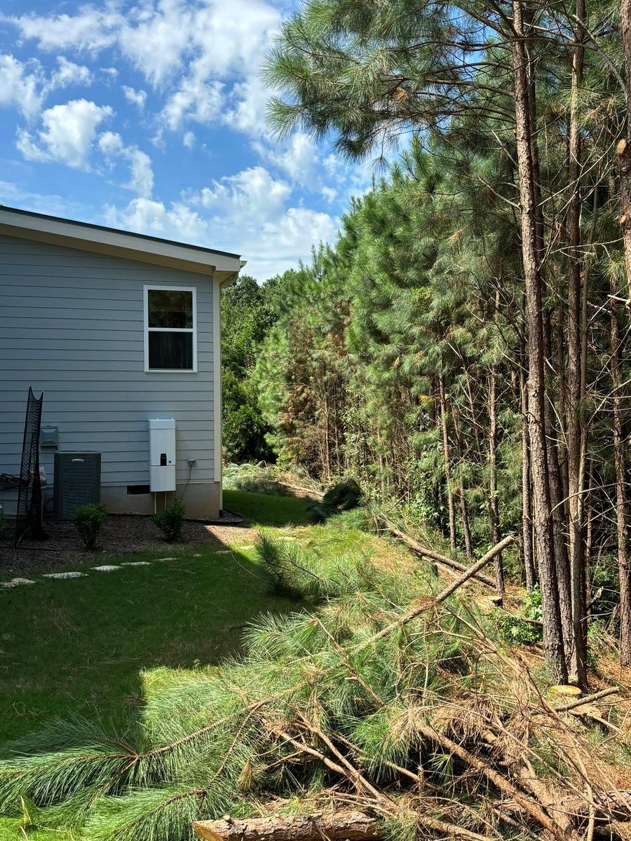 Tree Removal for Total Tree Care in Erwin, North Carolina