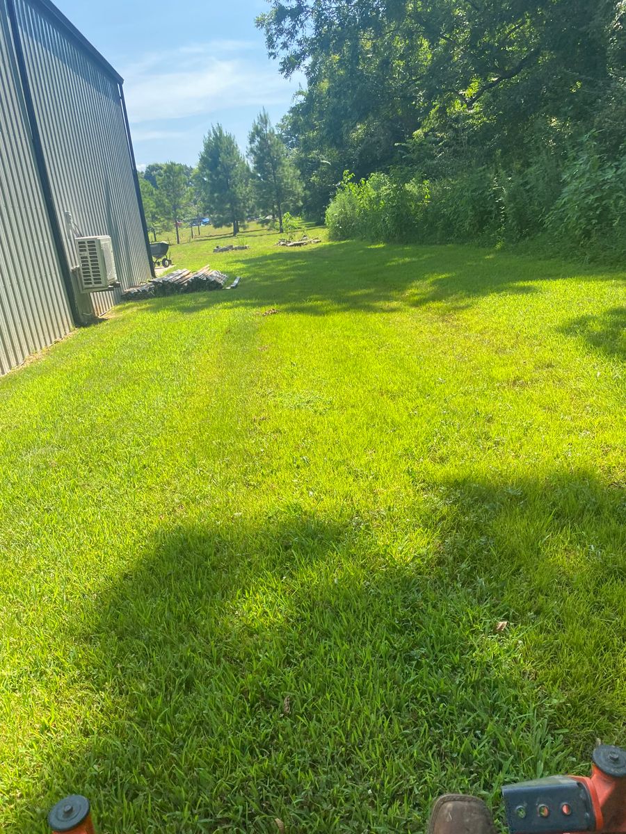 Lawn Maintenance for Apex Lawn & Landscaping INC in Dyersburg, TN