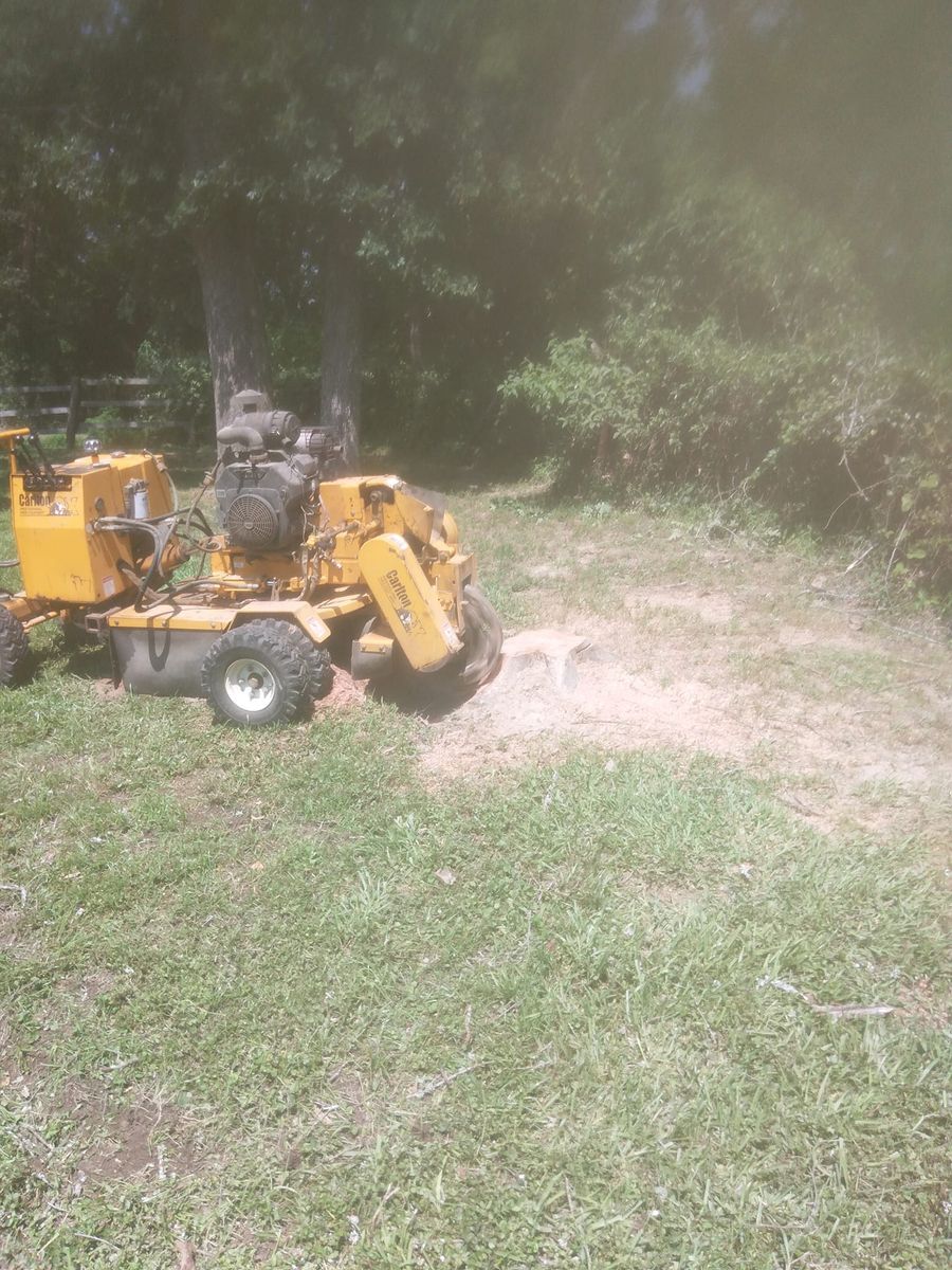 Stump Removal for Reymundo's Tree Service in Brownsboro, TX