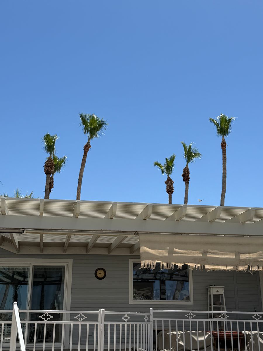 Tree Trimming for Top Notch Landscape Services LLC in Mohave Valley, AZ