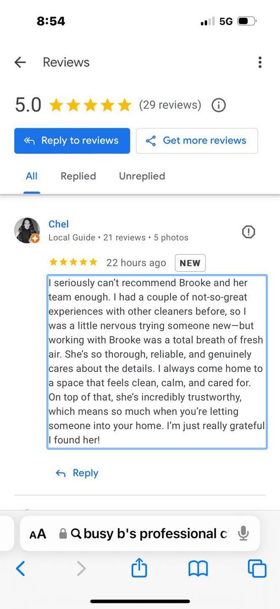 Pet-Friendly Cleaning for Busy B's Professional Cleaning in Birch Run, MI