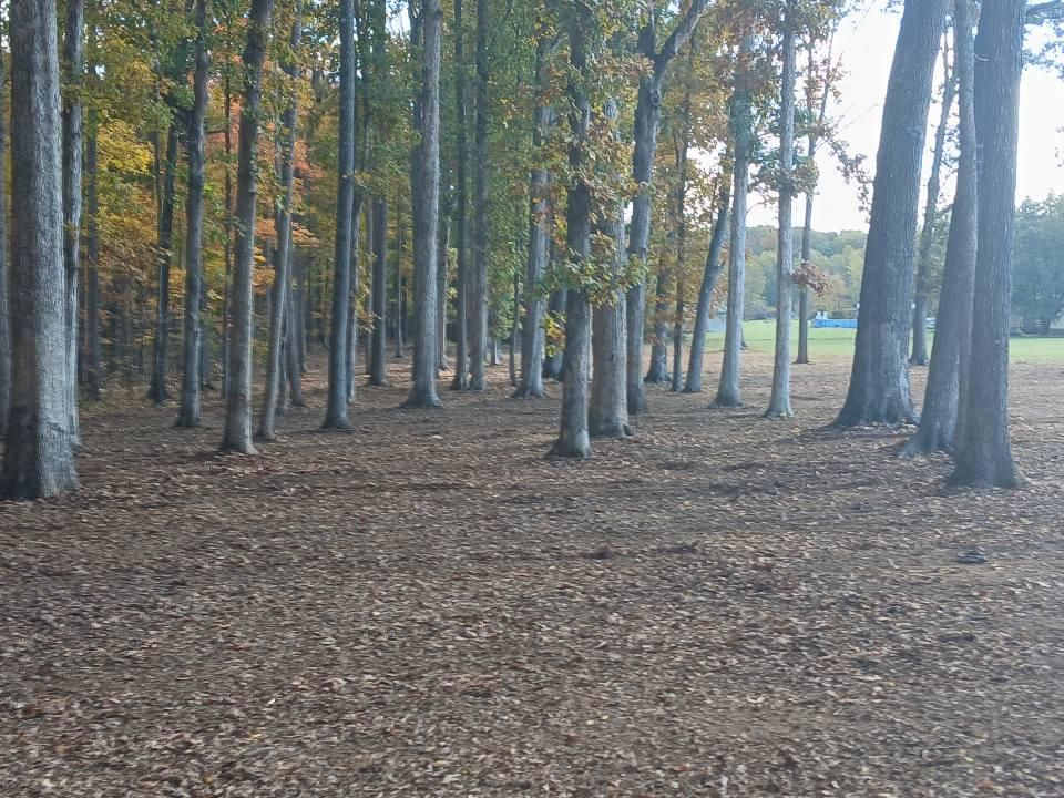 Site Preparation for Whiskey Ridge Mulching & Land Services in South Boston, VA
