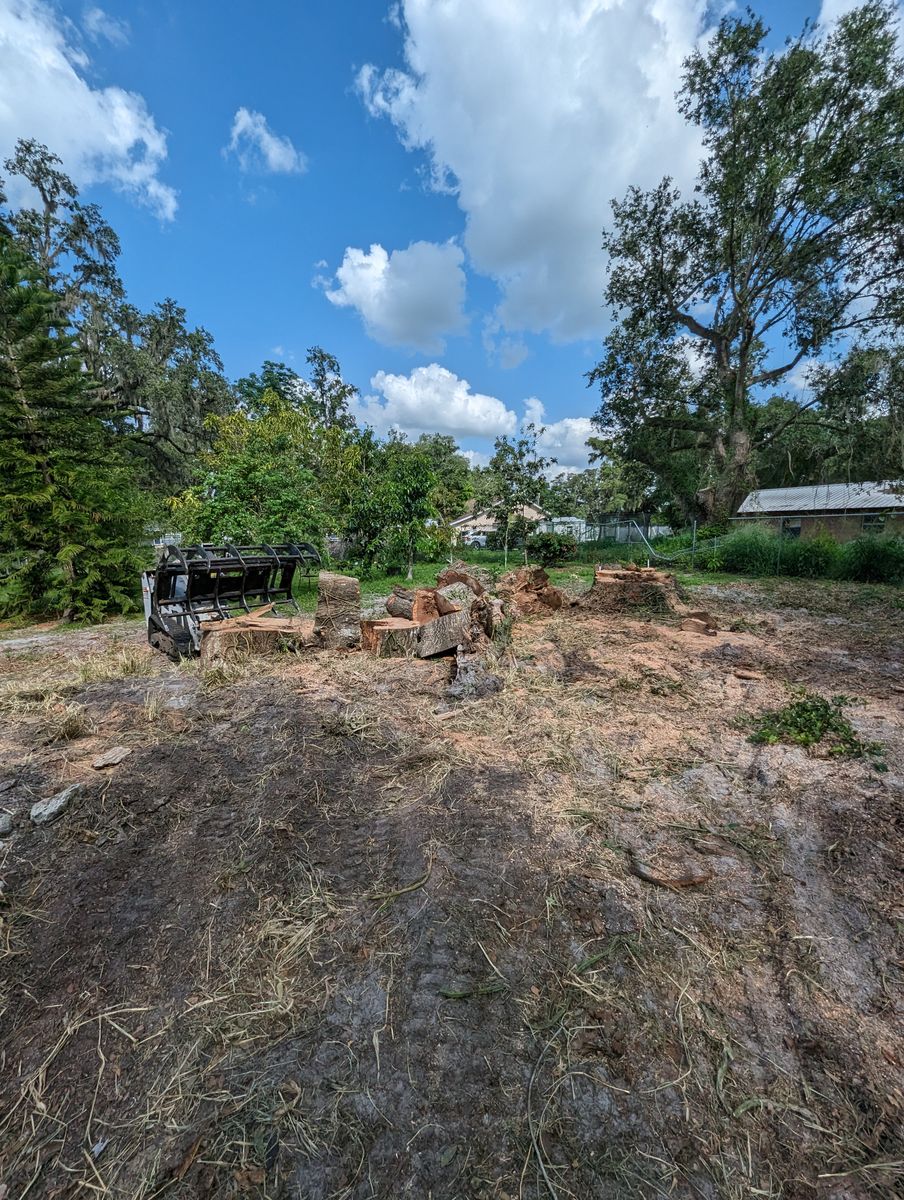 Land Clearing for Regal Tree Service and Stump Grinding in Wauchula, FL