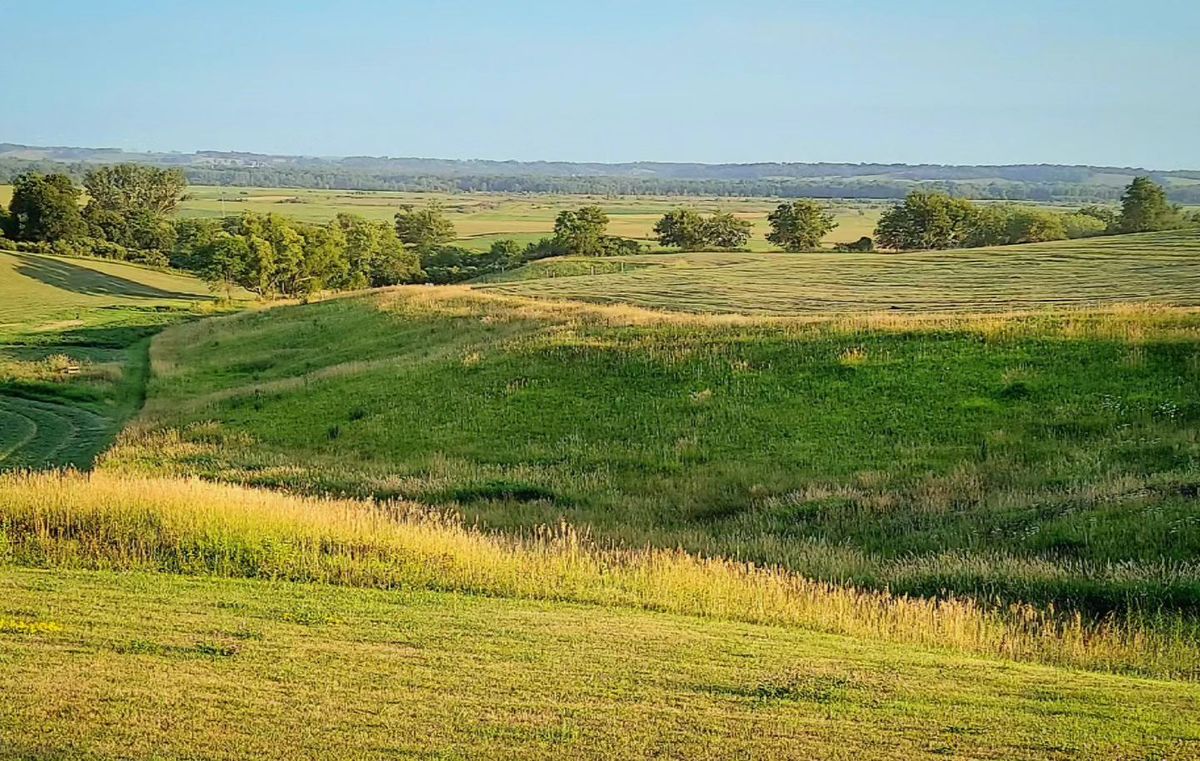 Large-Scale Mowing & Vegetation Management for Bluffside Forestry in Cedar Rapids, IA