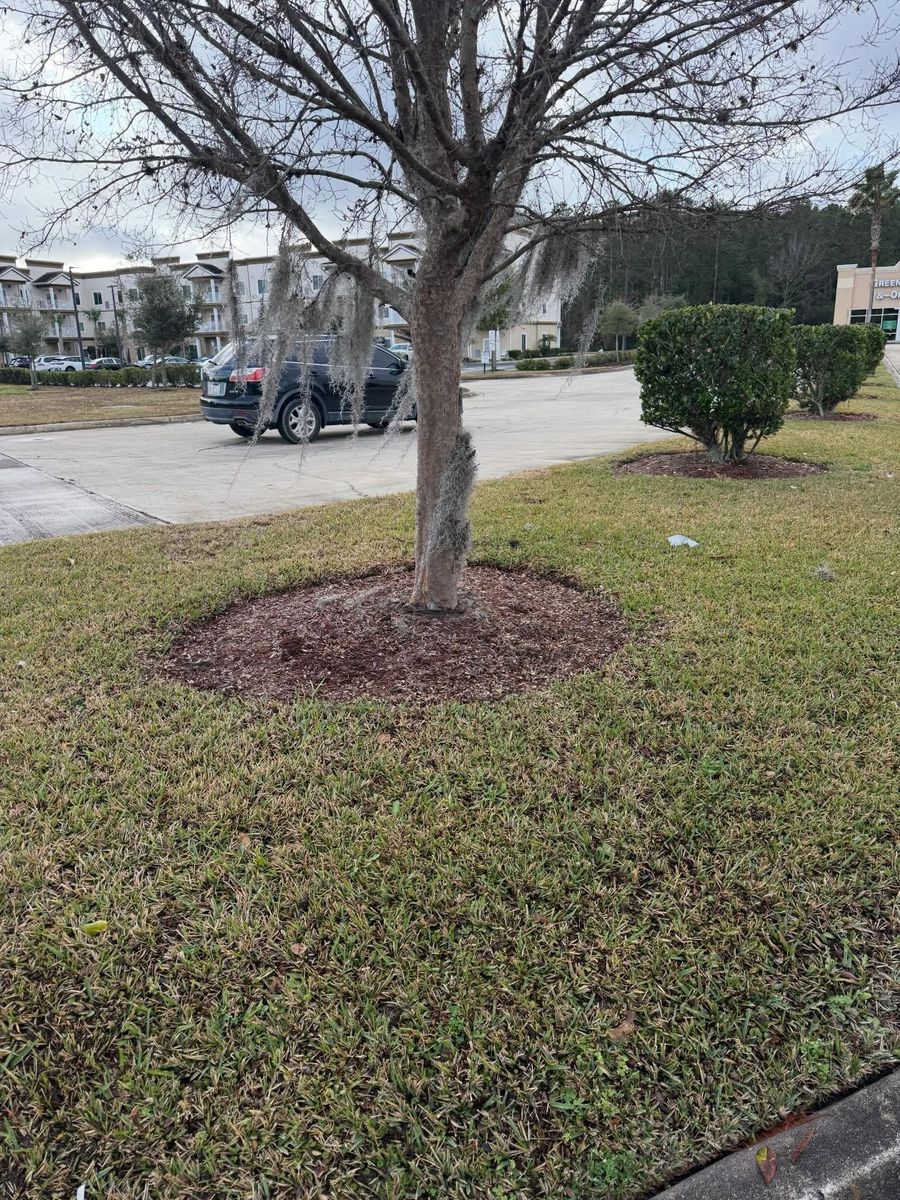 Shrub Trimming for Whole 9 Yards Services LLC in Green Cove Springs, FL