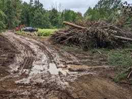 Land Clearing & Demolition for Superior Land Services in Wills Point, TX